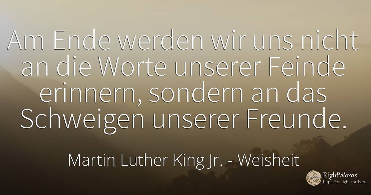 Am Ende werden wir uns nicht an die Worte unserer Feinde... - Martin Luther King Jr. (MLK), zitat über weisheit, feinde, ende, werden, fasten, die heimat, die schwäche