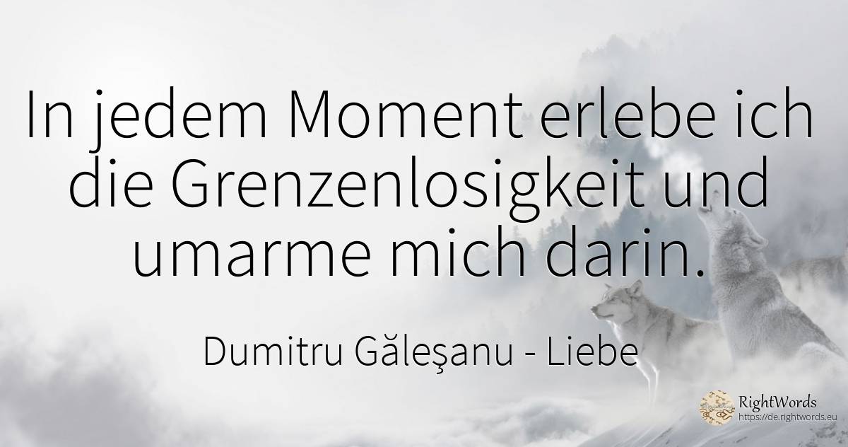 In jedem Moment erlebe ich die Grenzenlosigkeit und... - Dumitru Găleşanu, zitat über liebe