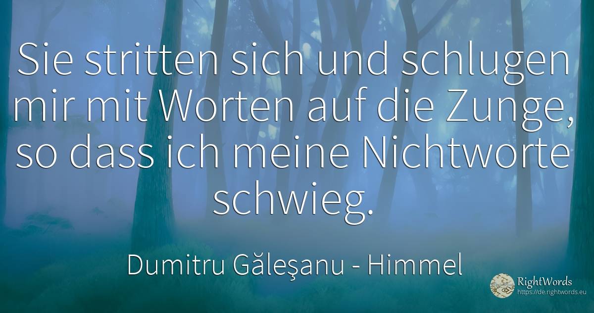 Sie stritten sich und schlugen mir mit Worten auf die... - Dumitru Găleşanu, zitat über himmel