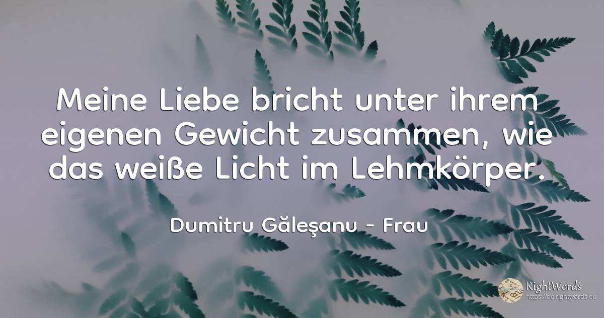 Meine Liebe bricht unter ihrem eigenen Gewicht zusammen, ... - Dumitru Găleşanu, zitat über frau