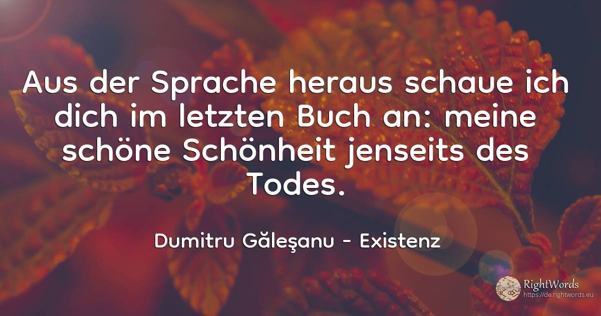 Aus dem Inneren der Sprache betrachte ich dich im letzten... - Dumitru Găleşanu, zitat über existenz