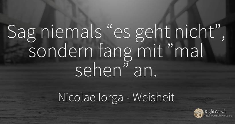 Sag niemals “es geht nicht”, sondern fang mit ”mal sehen”... - Nicolae Iorga, zitat über weisheit