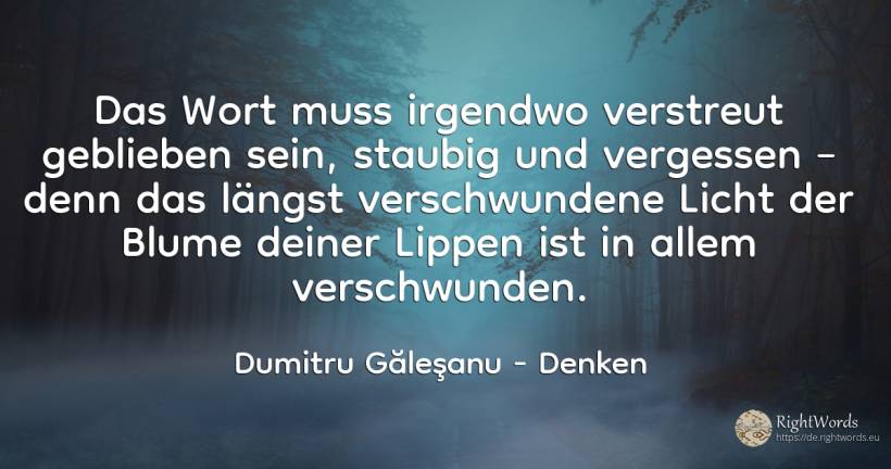 Das Wort muss irgendwo verstreut geblieben sein, ... - Dumitru Găleşanu, zitat über denken