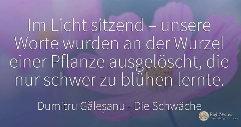 Im Licht sitzend – unsere Worte wurden an der Wurzel... - Dumitru Găleşanu, zitat über die schwäche