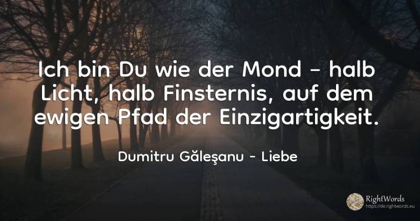 Ich bin Du wie der Mond – halb Licht, halb Finsternis, ... - Dumitru Găleşanu, zitat über liebe