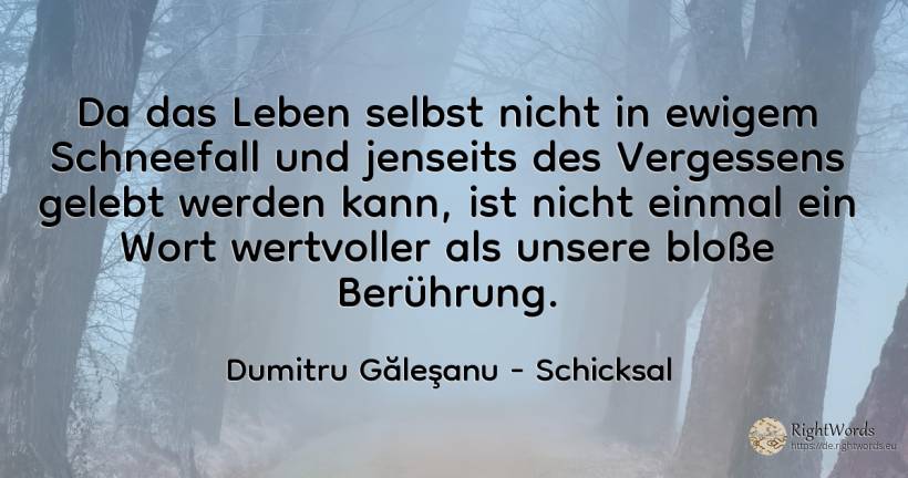 Da das Leben selbst nicht in ewigem Schneefall und... - Dumitru Găleşanu, zitat über schicksal