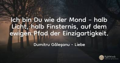 Ich bin Du wie der Mond – halb Licht, halb Finsternis, ...