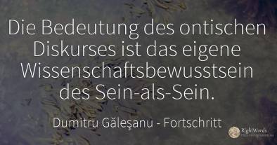 Die Bedeutung des ontischen Diskurses ist das eigene...