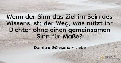 Wenn der Sinn das Ziel im Sein des Wissens ist: der Weg, ...