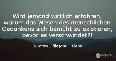 Wird jemand wirklich erfahren, warum das Wesen des...